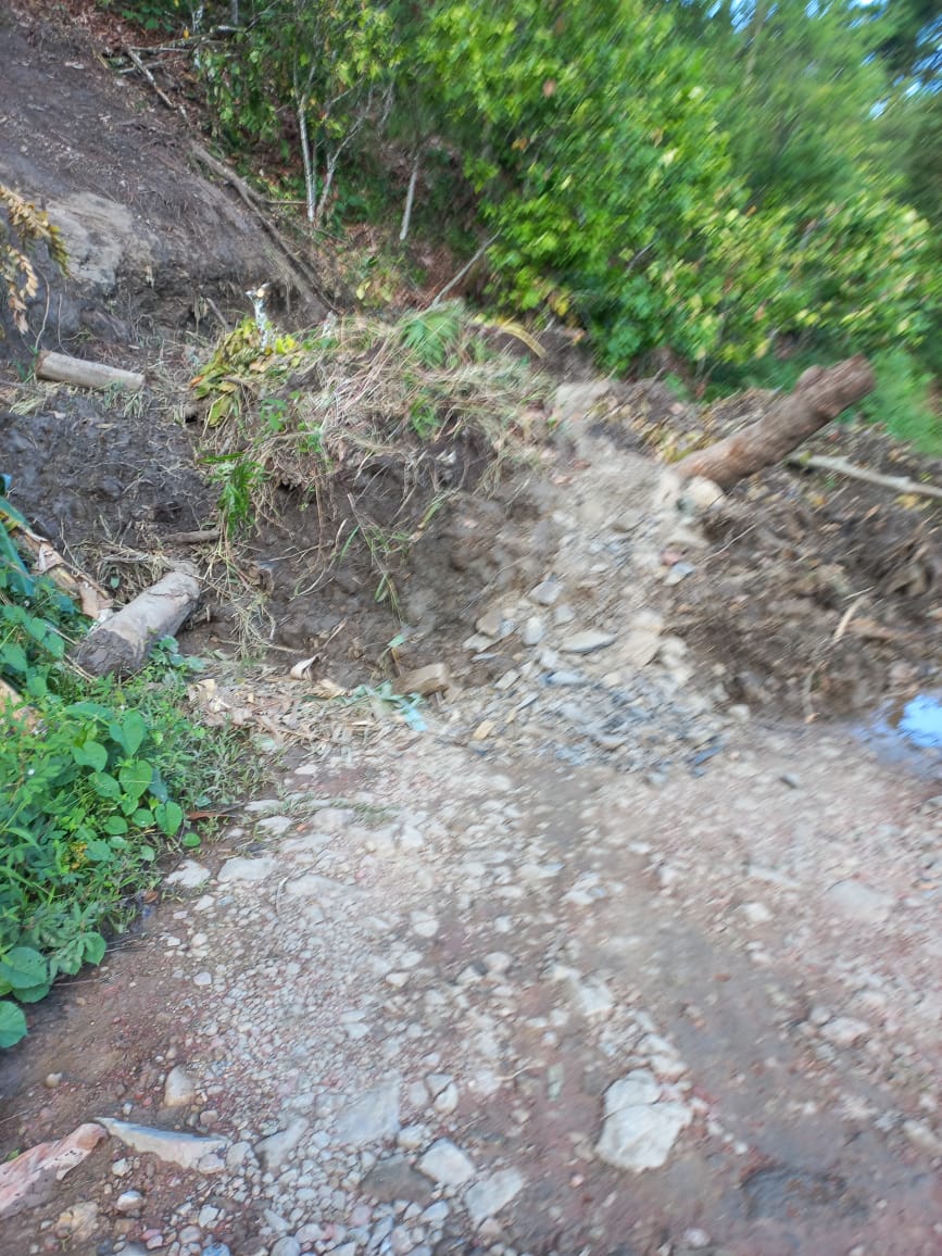 Alba Pinto tweet media