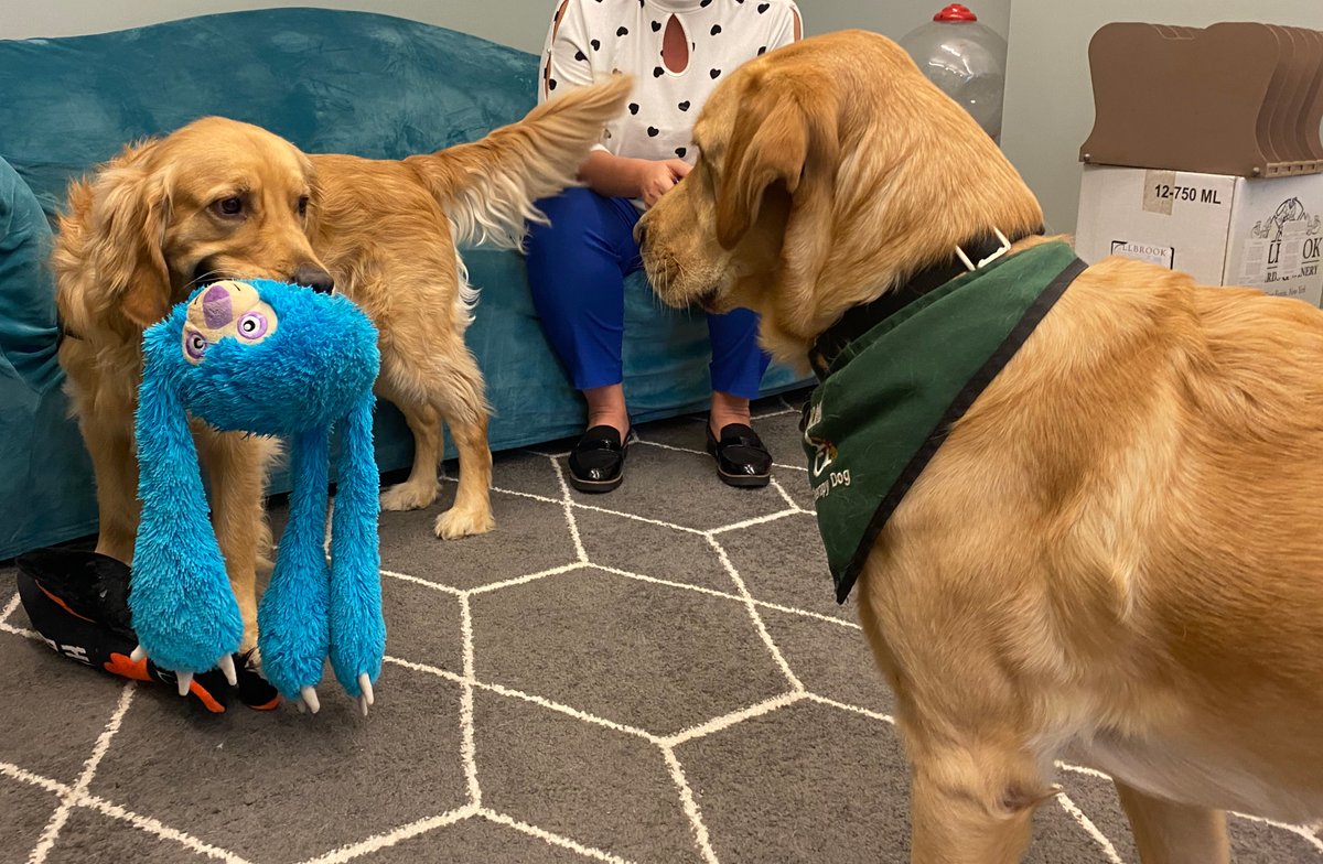 We are so grateful to <a href="/ECADServiceDogs/">ECAD Service Dogs</a> for taking the time to stop by and recertify two of Peace's handlers! Peace also had a great time meeting Geyser!