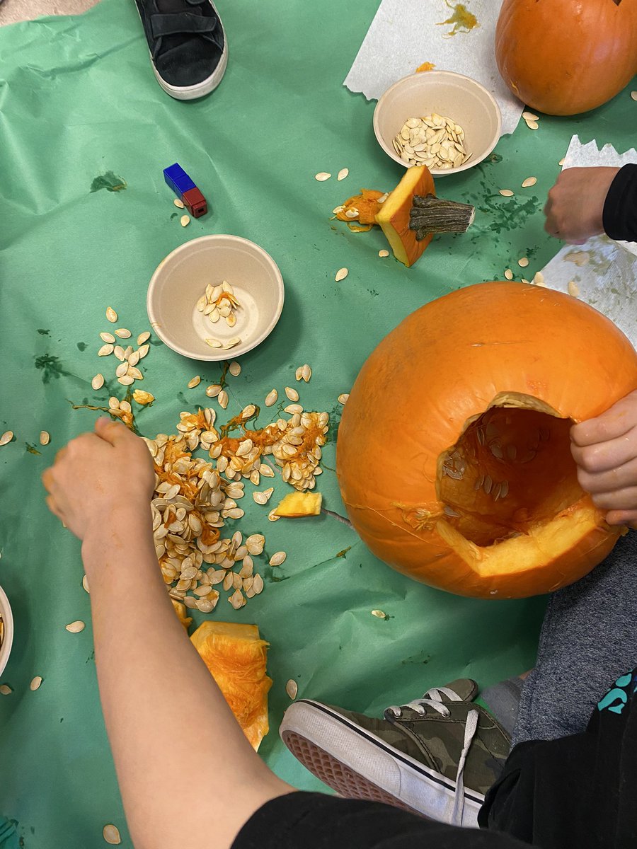Pumpkin exploration 🎃 After naming, drawing and measuring our pumpkins we estimated how many seeds then worked hard to count them all