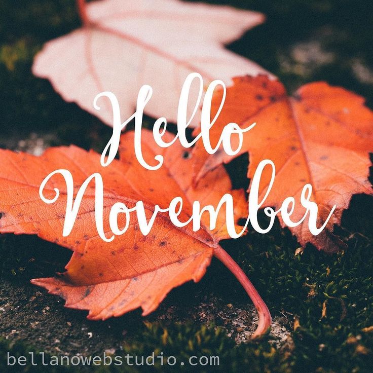 TheMtgRec's tweet photo. Wow can you believe that we are in November now? What are your plans to finish the year strong? https://t.co/jWRWuU6oYu