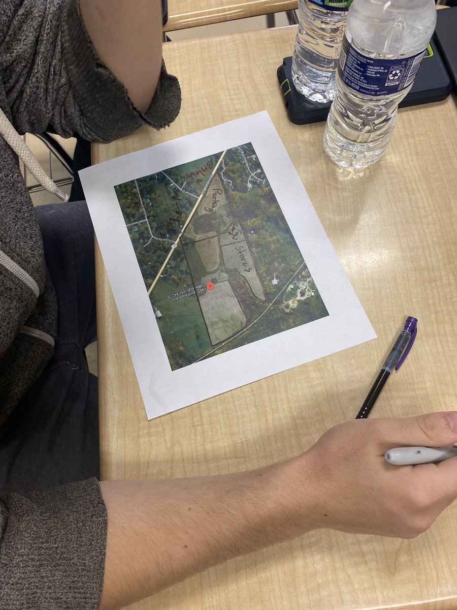 Miss Allman tweet media