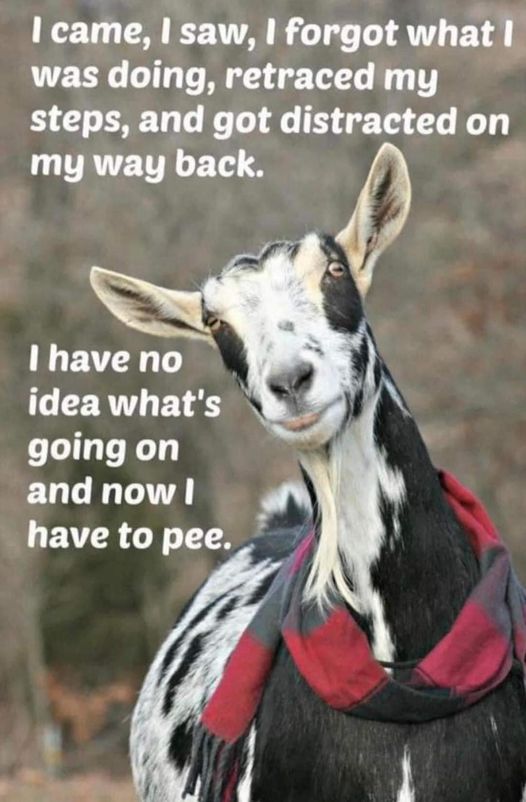 Dreamcatcher5 (@backwater_t) on Twitter photo 