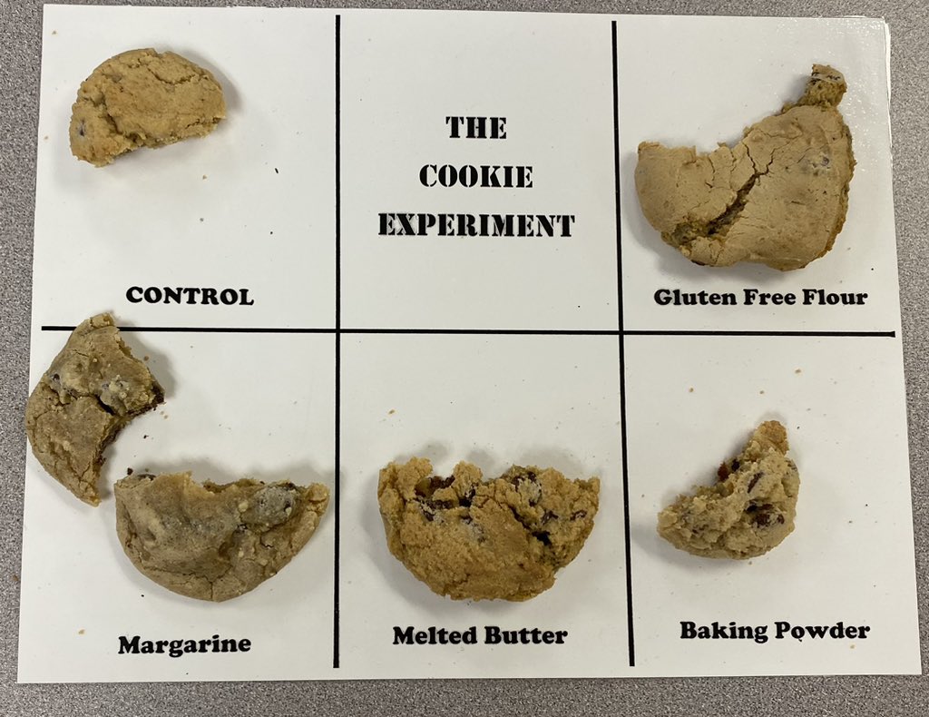 Day after Halloween calls for cookies, milk and science! #westnation #GID
