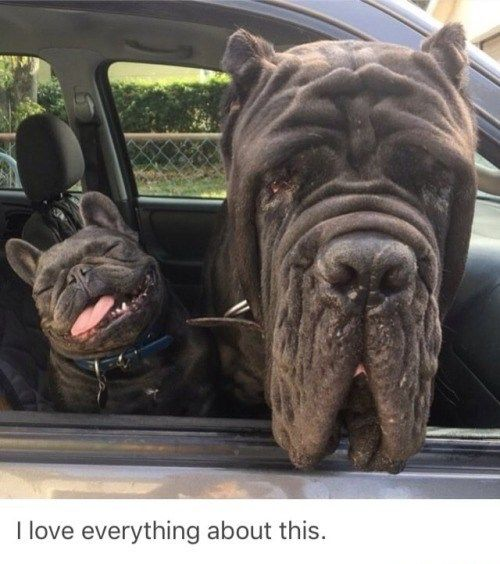 WholesomeMeme's tweet photo. https://t.co/XXf01OjlgZ