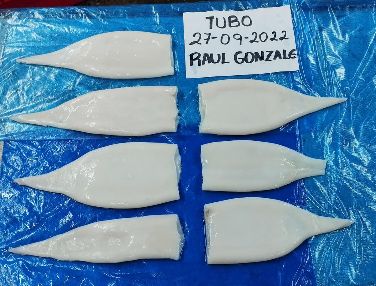 Cgexport@cgseafoodgroup.com