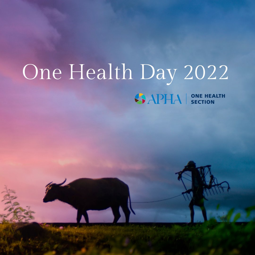 APHA_OneHealth's tweet photo. The first annual #OneHealthDay occurred on November 3rd 2016. Since then, the need for trans-disciplinary action at the human-animal-environment interface has only increased. Join #APHAOneHealth in our collaborative efforts to improve health for all! https://t.co/ZwcQnqEvjY