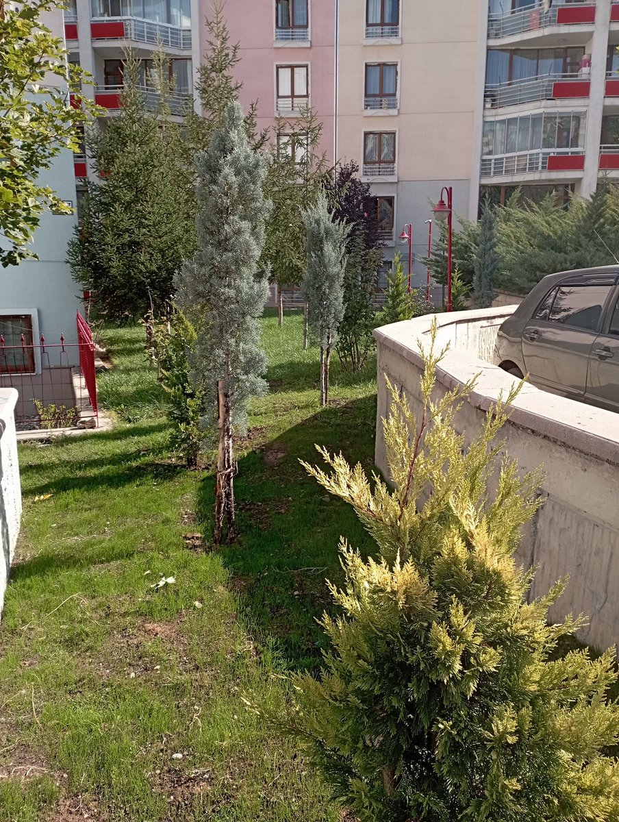 Kuzey Ankara 14.Etap Toplu Yapı Konutları'na Active Site Yönetimi tercih ettiği için teşekkür ederiz.