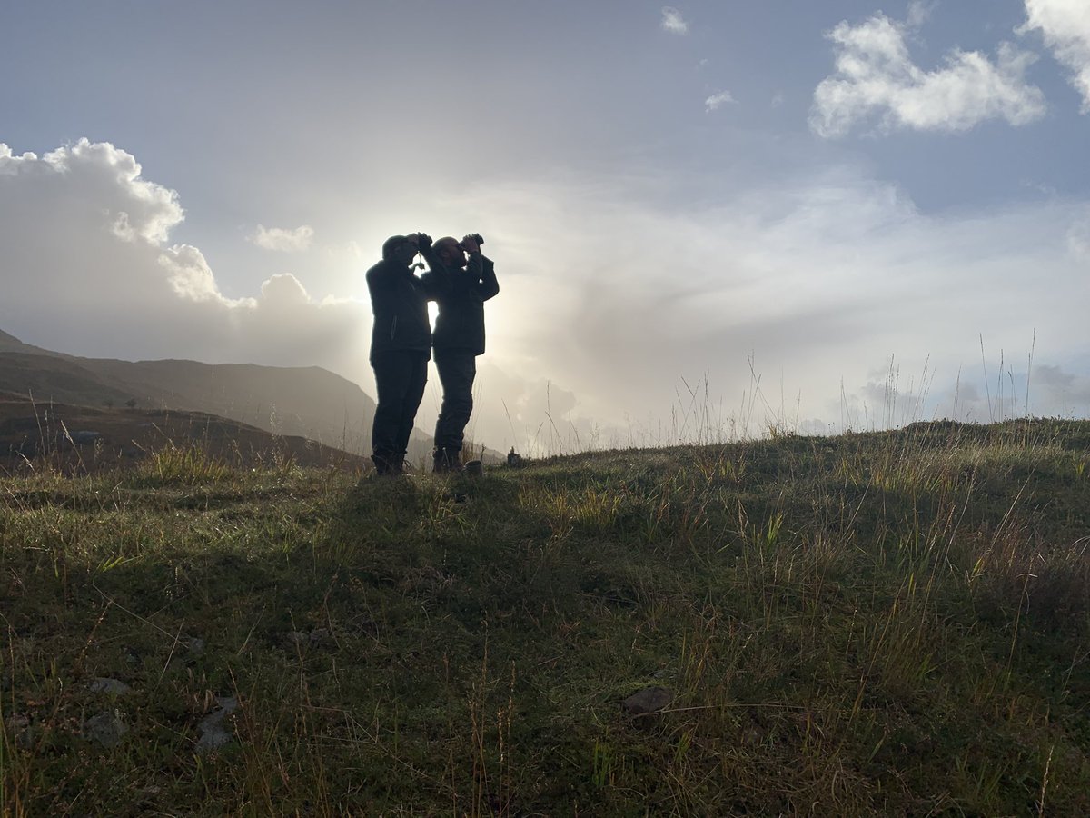 Ewan Miles tweet media