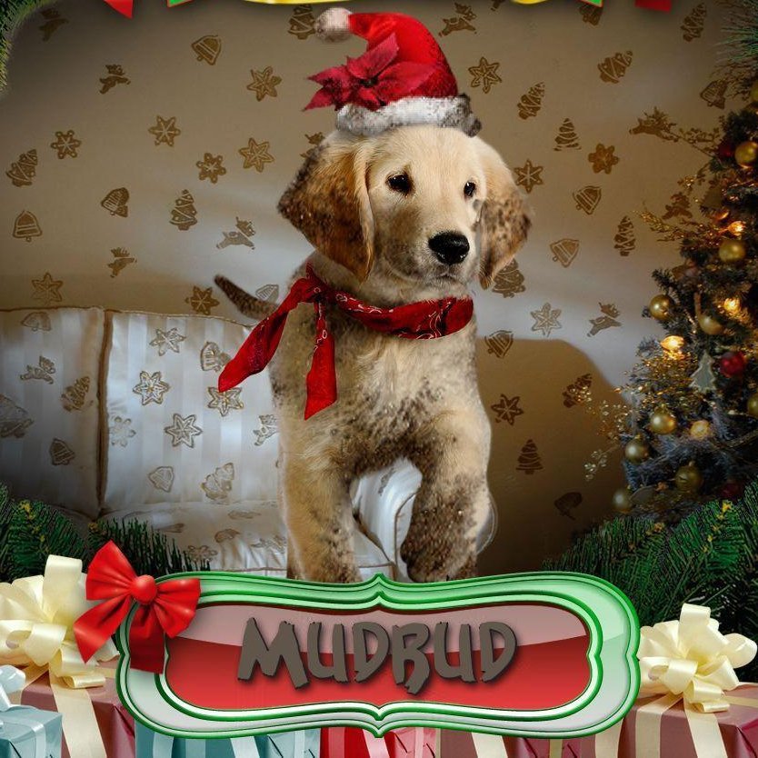 #NewProfilePicture 

Mud time=FunTime