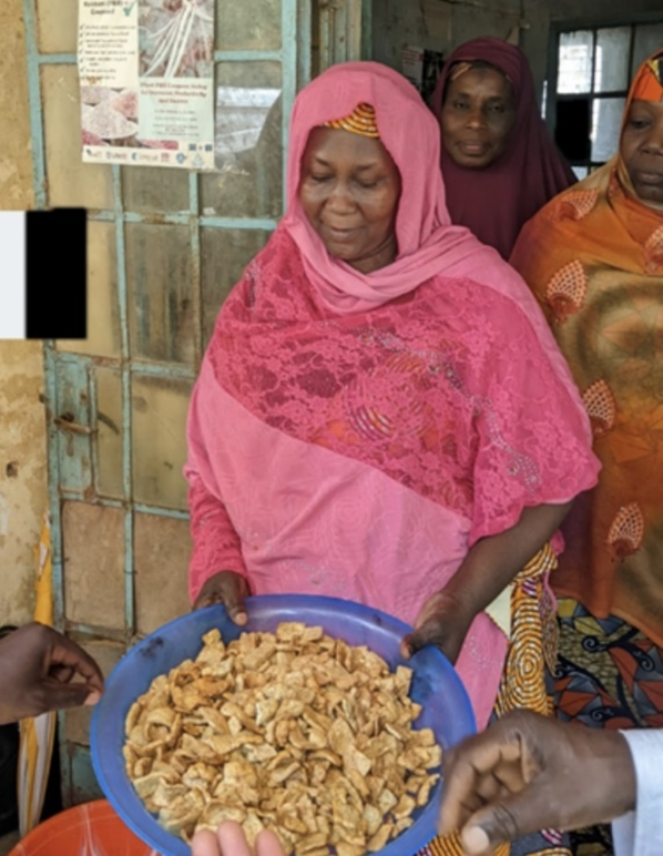 LLF_fund's tweet photo. In Kano, #Nigeria, LLF supports agro-pastoral development through a training center that builds women’s capacity to turn groundnuts & soybeans into nutrition foods for their families—& to bring to market. #agdevelopment #nutrition #liveandlivelihoods https://t.co/KrYkjEVieA https://t.co/hFRkxBqVLD
