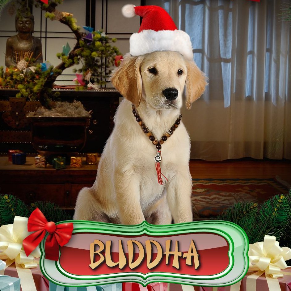 Here you go bros and lil sis I found profile pics just like mine.

<a href="/DirtyPup__/">🐾🏐ᴍᴜᴅʙᴜᴅ🐾🏐</a>  <a href="/Rosebudgir/">⚽Rosebud⚽</a>  <a href="/NamastePuppy_/">🐾📿⚾Buddha📿🐾⚾</a>  <a href="/BlingPup__/">🏀🐾B-Dawg🏀🐾</a>