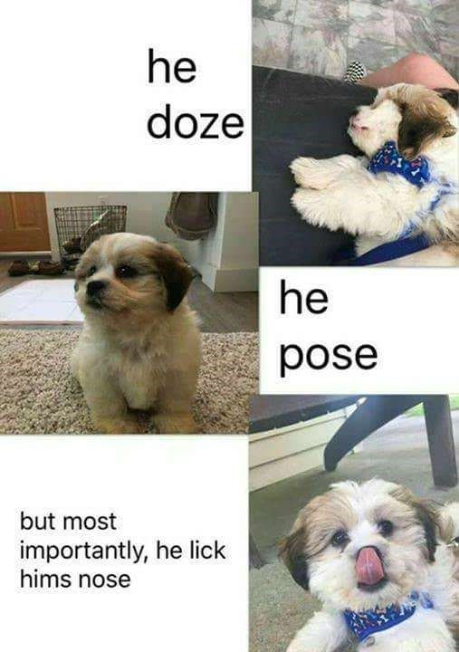 WholesomeMeme's tweet photo. https://t.co/4wcHSAdLog