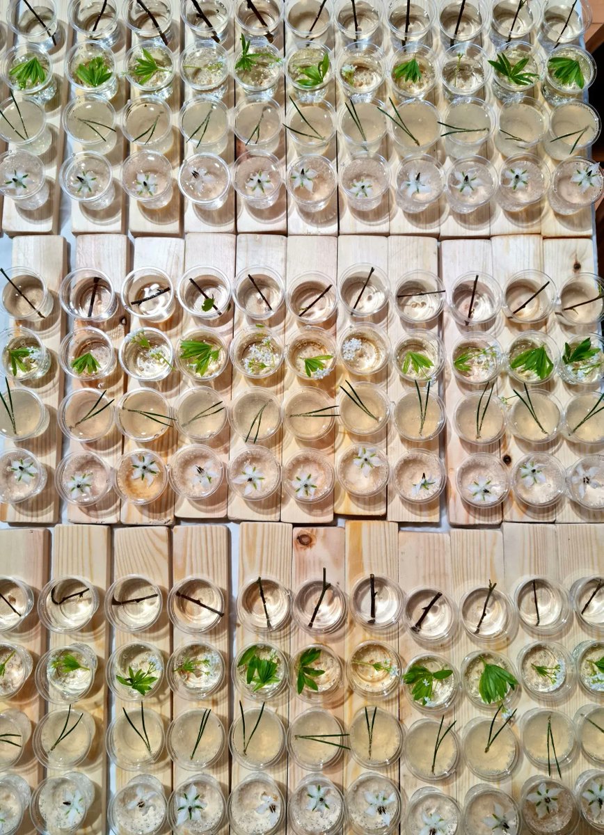 Highland Boundary tweet media