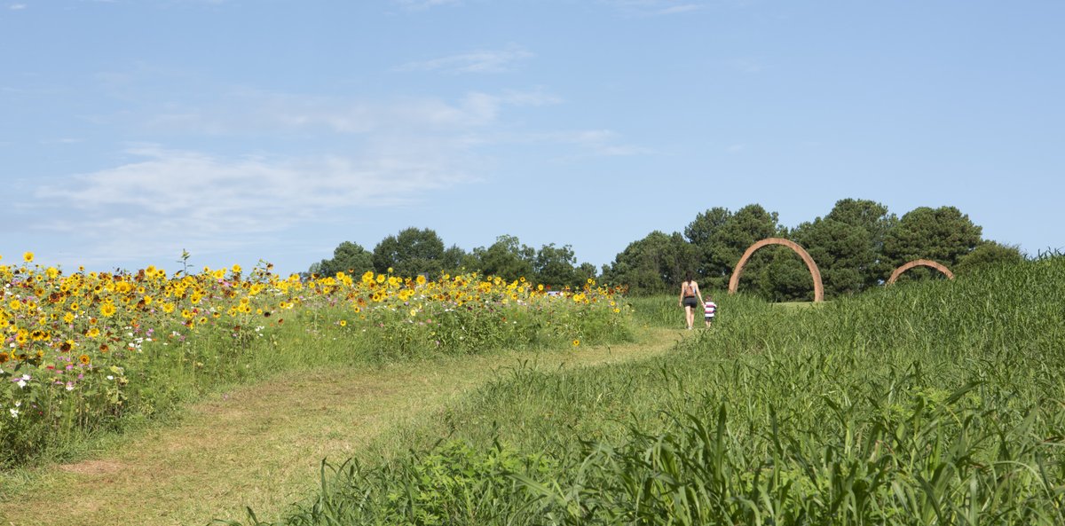 ncartmuseum's tweet image. This week's beautiful fall weather begs for a visit to the Museum Park! Visit our 164-acre campus to find your own space for community gatherings, art, and appreciation of nature. It's open daily, including holidays, from dawn to dusk. #NCMApark