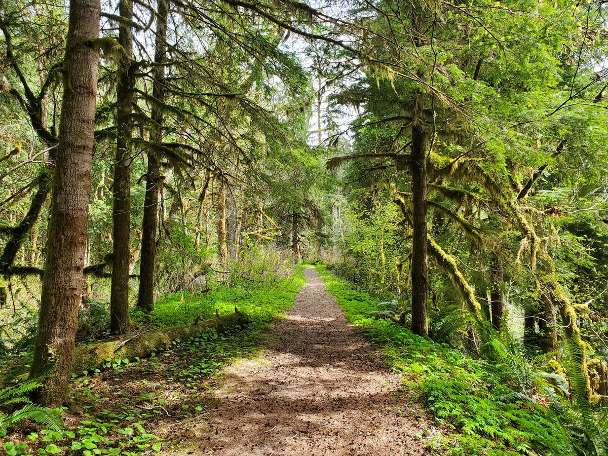 ForestServiceNW's tweet photo. Microadventures can happen practical any time &amp; any place w/the right mindset. Spend some time really soaking in the nature in your backyard, a local city park, or any green spaces in your neighborhood. Even a few minutes can make a big difference. Tell us about you experience! https://t.co/JT0mUK0eTu