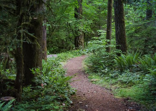 Microadventures can happen practical any time &amp; any place w/the right mindset. Spend some time really soaking in the nature in your backyard, a local city park, or any green spaces in your neighborhood. Even a few minutes can make a big difference. Tell us about you experience!