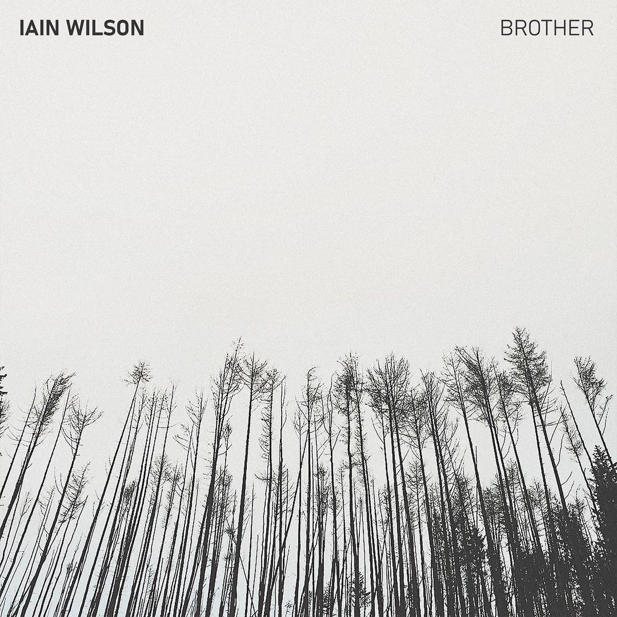 Iain Wilson tweet media