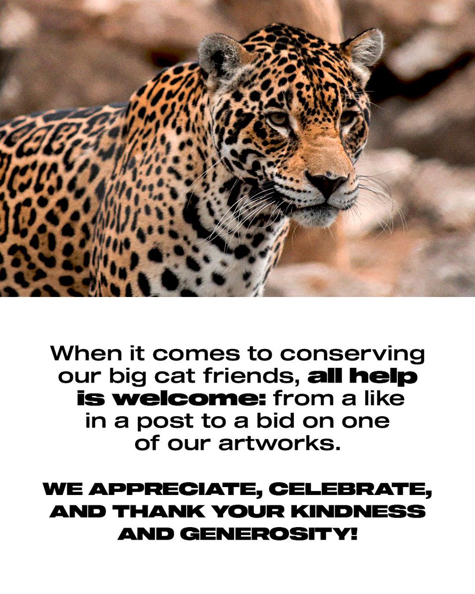 Jaguar Parade tweet media