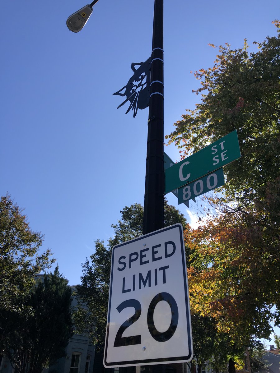 Sneaky Cat is watching your speed as you cruise the streets of of Washington, D.C.!

We've done some freshening up of our "Alphabet Animals" duo of tours. Take the family out for a fun scavenger hunt of Capitol Hill!

traipse.co/post/alphabet-… 🐱