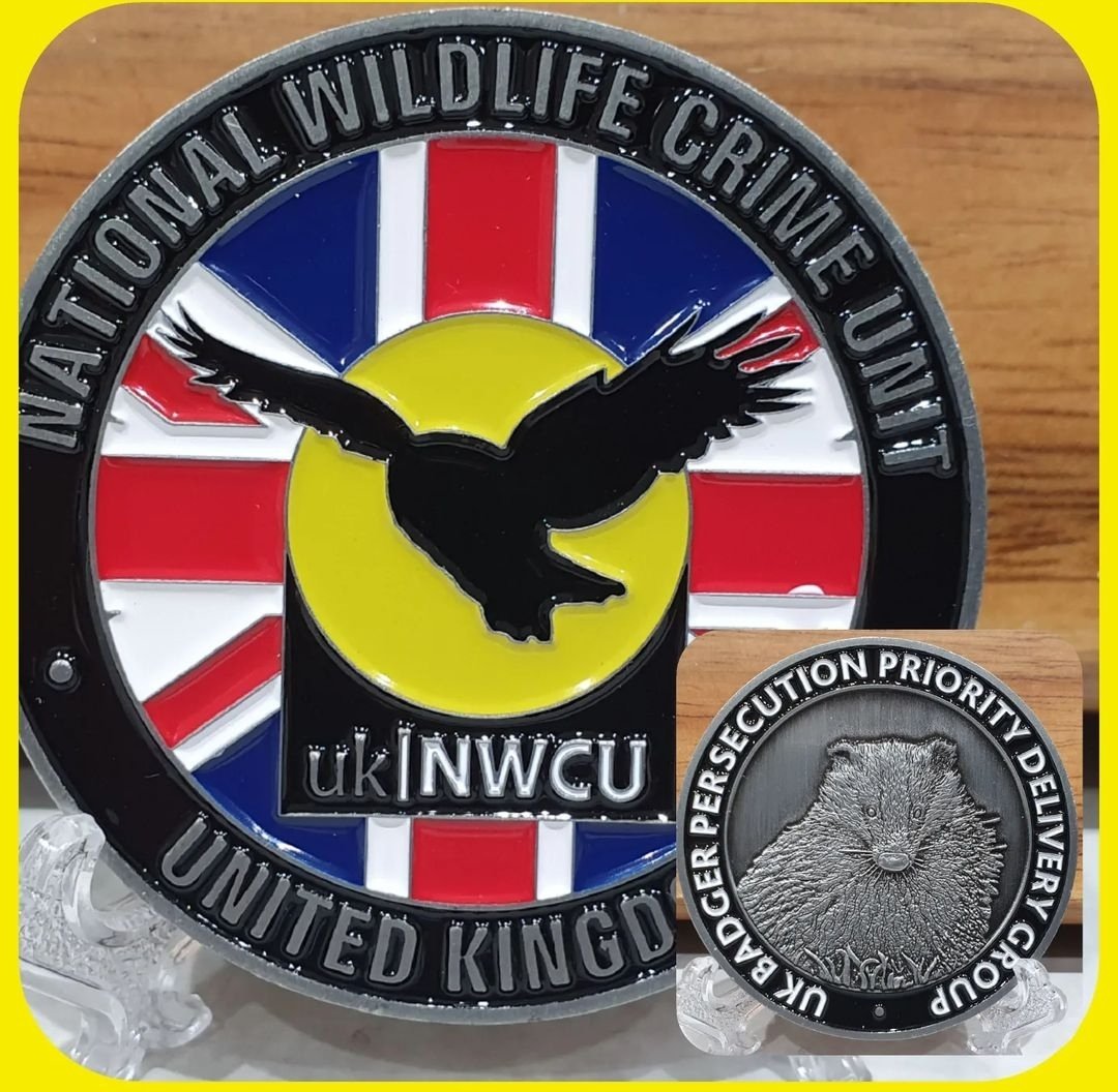 scruffycop's tweet photo. Really appreciate this #challengecoin given to me by the @ukwildlifecrime @BadgerPPDG earlier this year in recognition of my investigation into some horric Wildlife offences. #Wildlife #Badger #opbadger #Badgers #crime #confirmed #CriminalJustice https://t.co/fRSLgMcg65