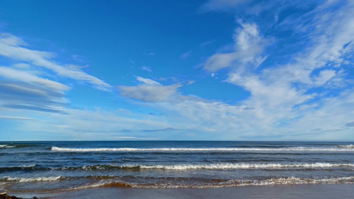 Some vitamin-sea at lunchtime 😎