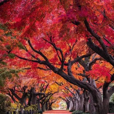 palpt's tweet photo. #NuevaFotoDePerfil https://t.co/FYXgdxf3Ci
