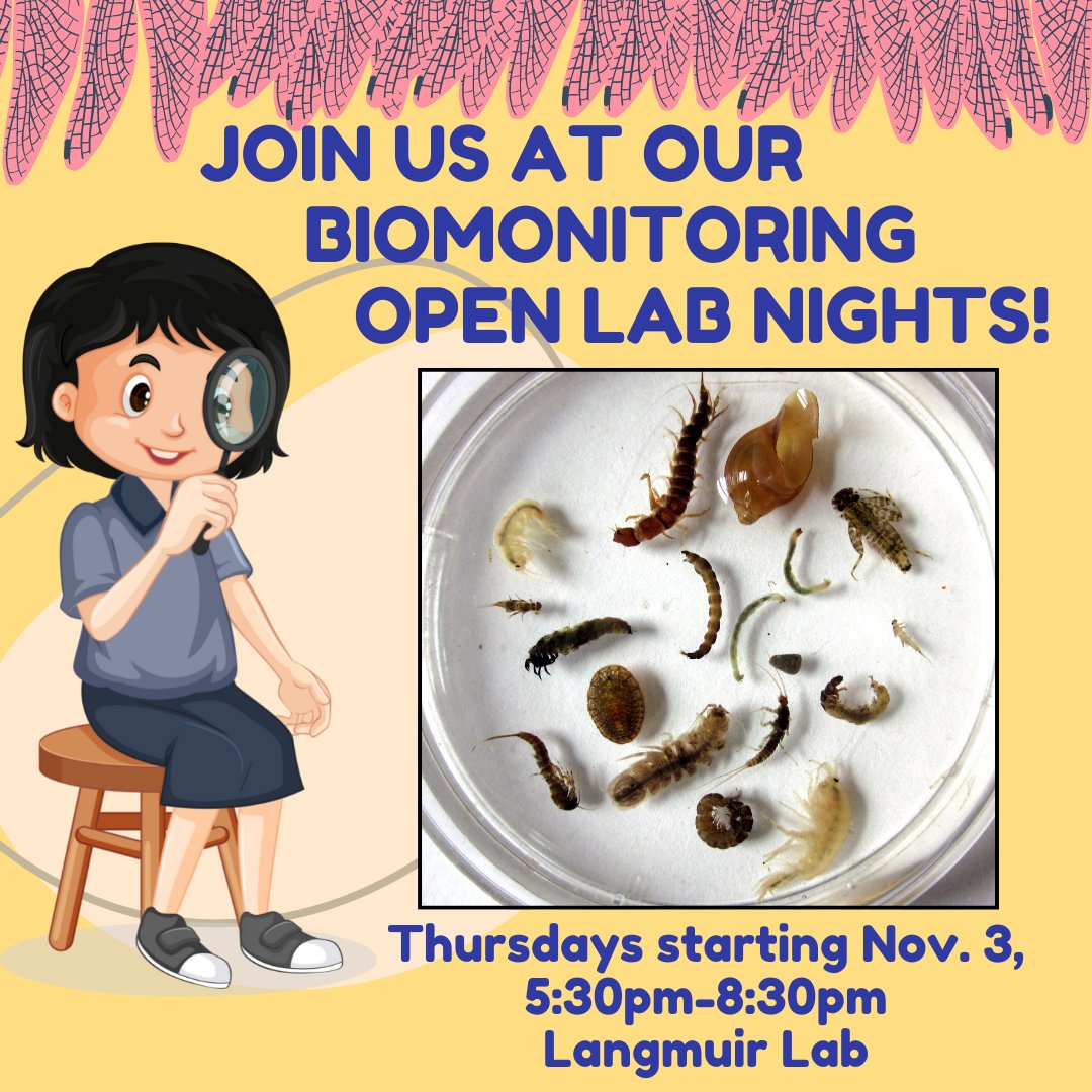 CSIwater's tweet photo. After sampling all summer long, it's time to sort and ID the benthic macroinvertebrates to see what they can tell us about water quality. Open Lab Nights start this Thursday, Nov 3, at Langmuir Lab—95 Brown Rd, Ithaca, NY. Contact adrianna@communityscience.org to sign up! https://t.co/7sASiwlxTH