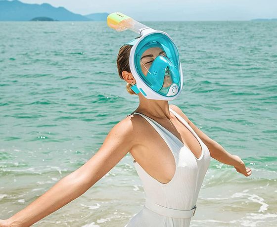 alt64alto's tweet photo. Full Face Scuba Masks For Underwater Diving https://t.co/a0BkQRAP2G
An adult snorkel set or diving mask is unquestionably a try before you buy equipment. A diving mask for sale that leaks will spoil your encounter.

#diving
#scuba
#snorkelling
#scubamask
#scubadiving
#swimming https://t.co/MJ8htxm31B