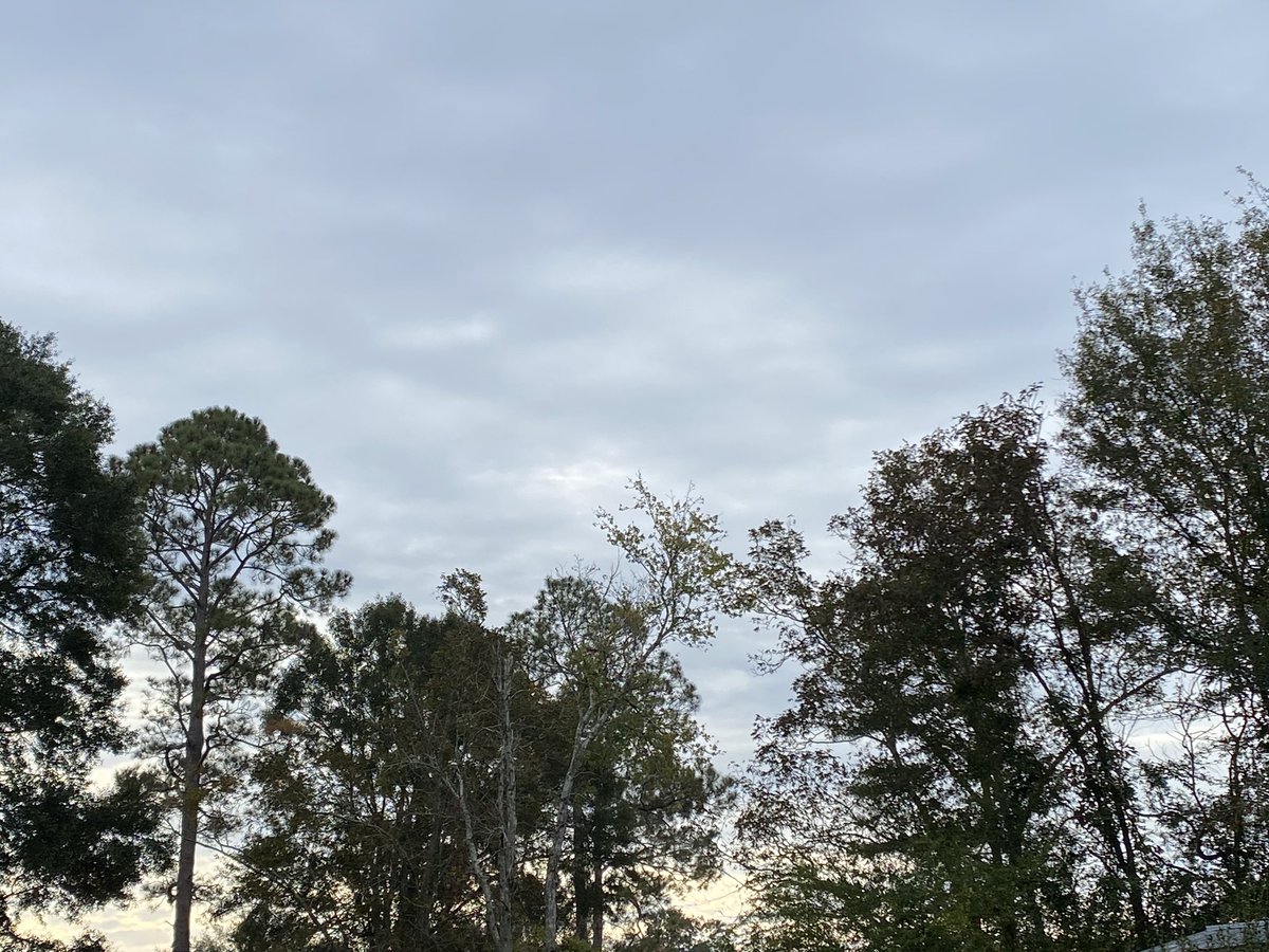 coffeegirl_77's tweet photo. Beautiful coolish morning. Enjoying a #pitfire and roasting marshmallows 😊 And #Coffee outside always seems sweeter 🍂🍁☕️ #BibleStudy #AutumnVibes #autumn #TuesdayMotivaton https://t.co/E8Zbe1Ye19