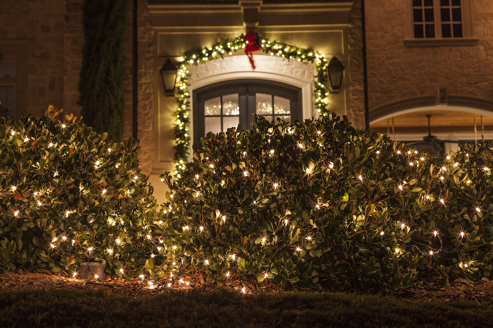 PerfectLightUSA's tweet image. Are you tired of tangled strings, burned-out bulbs, and teetering ladders while you try to hang your Christmas lights? Christmas is made simple when you choose The Perfect Light for your Christmas light installation! 

Learn more: zcu.io/CTHJ    

#ThePerfectLight