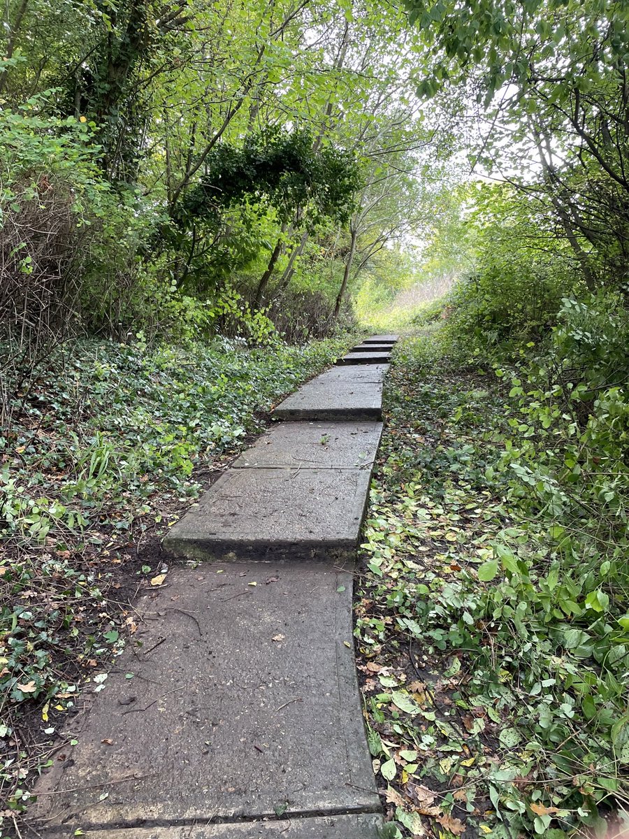 KSS_PC_Maid_TW's tweet photo. Great work by a new #TunbridgeWells @KSSPS_CP #communitypayback Team in partnership with @TMBC_Kent making an overgrown alleyway more accessible for residents. Positive comments from the beneficiary well deserved #givingback #probationworks https://t.co/UniyUOsJQv