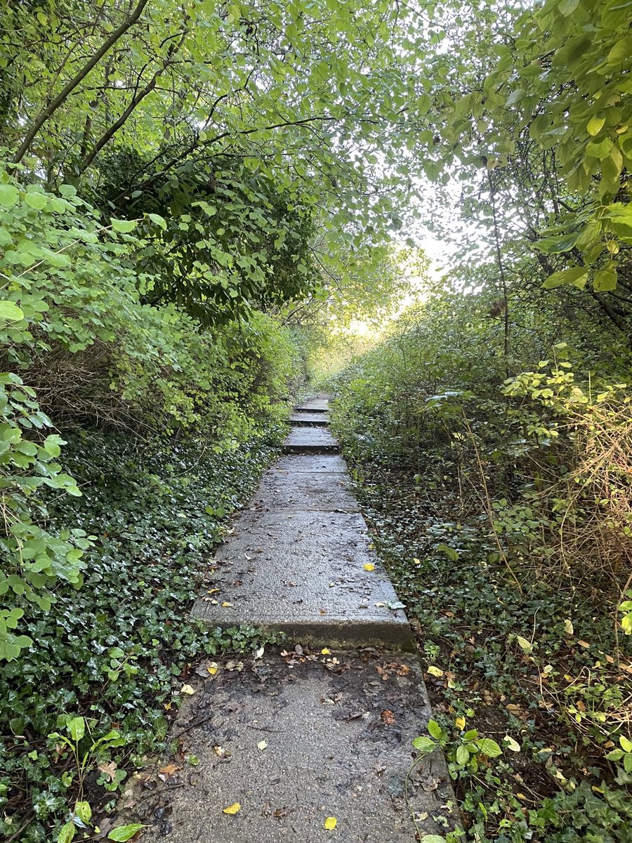 KSS_PC_Maid_TW's tweet photo. Great work by a new #TunbridgeWells @KSSPS_CP #communitypayback Team in partnership with @TMBC_Kent making an overgrown alleyway more accessible for residents. Positive comments from the beneficiary well deserved #givingback #probationworks https://t.co/UniyUOsJQv