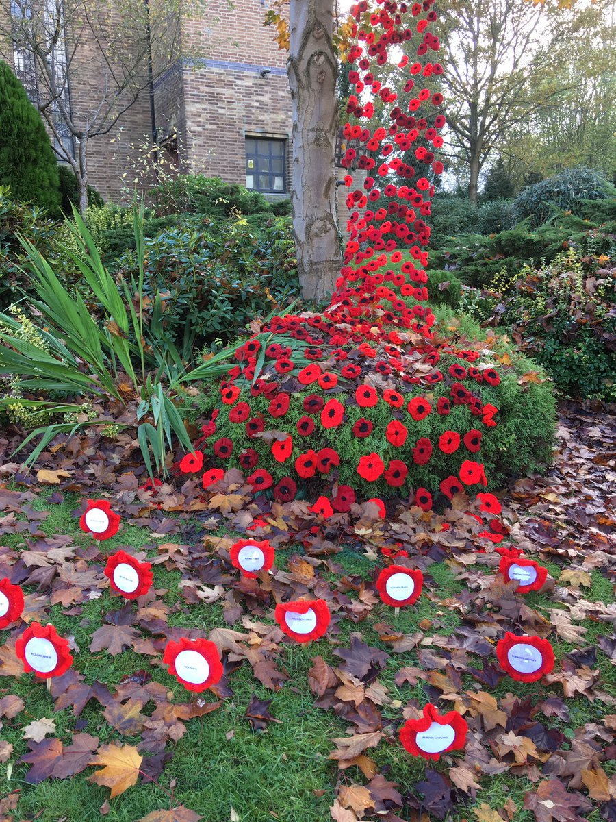 FloralRainbowAW's tweet photo. The ladies of our village #WI have been busy #Poppies β€οΈ #Loscoe #StLukes https://t.co/9A8WKnOKFx