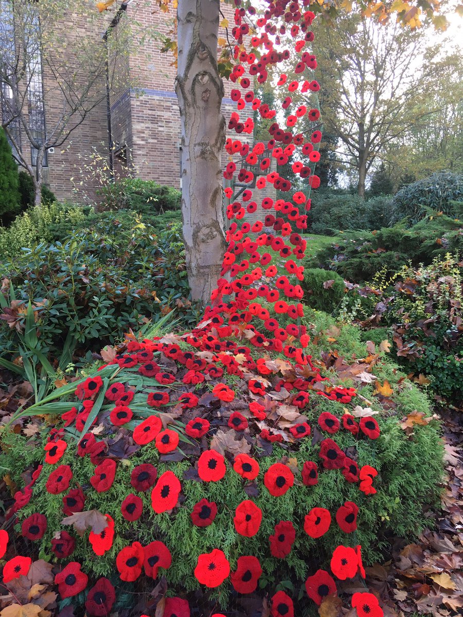 FloralRainbowAW's tweet photo. The ladies of our village #WI have been busy #Poppies β€οΈ #Loscoe #StLukes https://t.co/9A8WKnOKFx