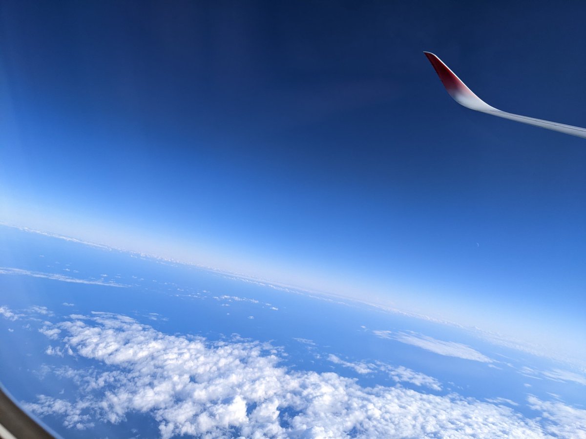 るあえ tweet media