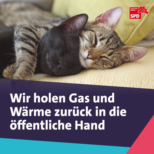 spdfraktionbln's tweet photo. Nach #Wasser und #Strom wollen wir auch Gas und Wärme in die öffentliche Hand zurückholen. Wir haben verabredet, den Bürgschaftsrahmen des Landeshaushalts von 6 auf 8 Mrd. € auszuweiten, um den Erwerb der GASAG und Fernwärme abzusichern. Die Rekommunalisierung kommt! https://t.co/mk8ZbCseNJ