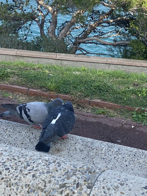 Is this so much to ask for 🥲 https://t.co/nWHPSSOZR7