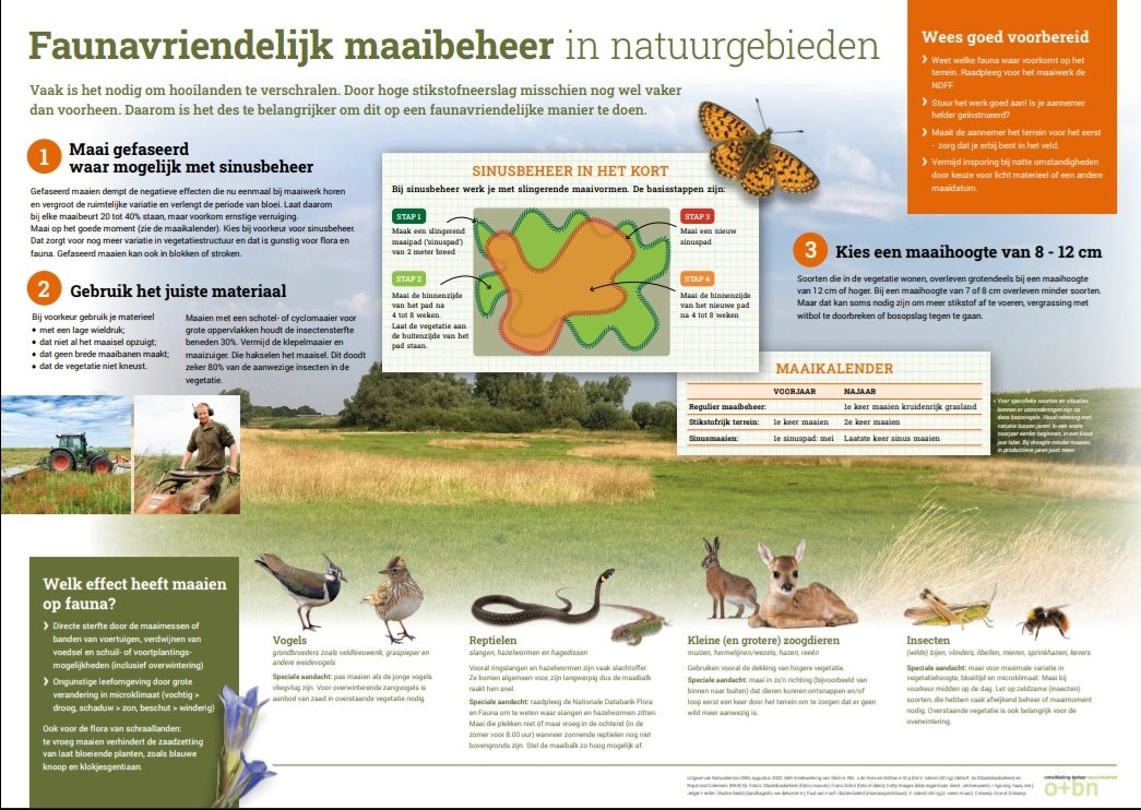 Nieuw! Speciaal voor natuurbeheerders ontwikkelden we <a href="/vlinderNL/">De Vlinderstichting</a> een handige poster met tips over faunavriendelijk maaibeheer in natuurgebieden. In opdracht van <a href="/natuurkennis/">OBN Natuurkennis</a> en samen met experts van <a href="/staatsbosbeheer/">Staatsbosbeheer</a> en <a href="/RAVON/">RAVON</a>. Downloaden kan hier: natuurkennis.nl/Uploaded_files…