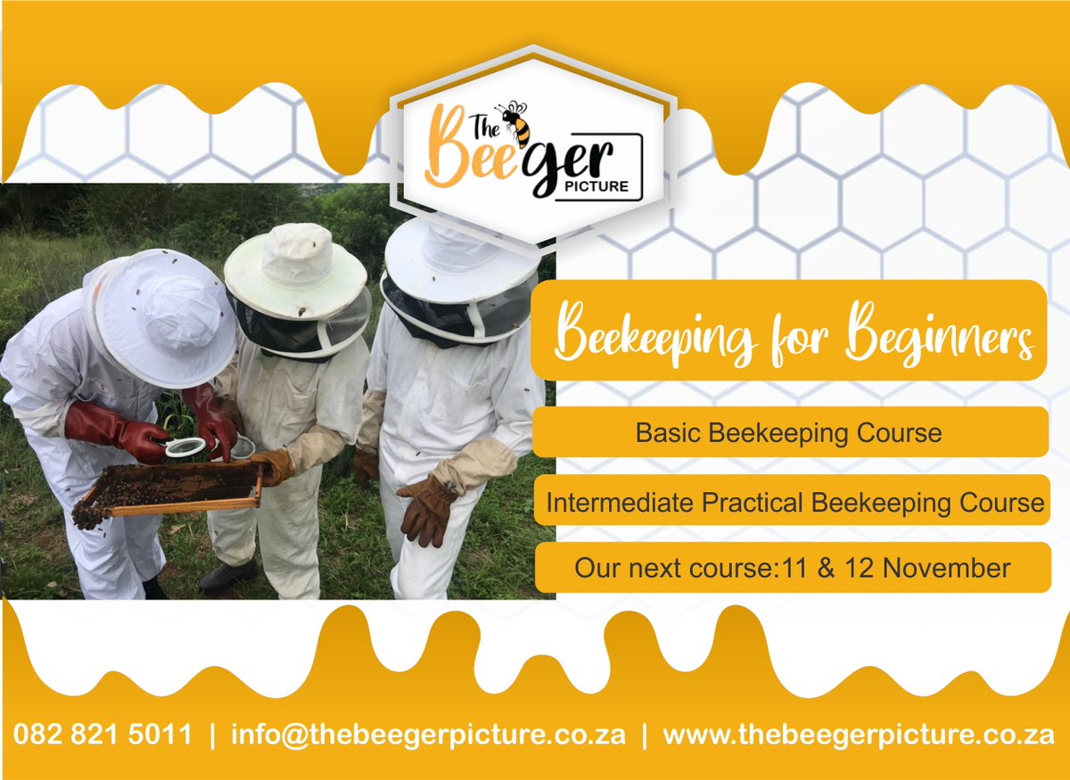 Thebeegerpictu1's tweet photo. Keeping an eye on your bee business is just as important as keeping an eye on your beehive.
#thebeegerpicture #nelspruit #beekeepingcourses #pollinationservices #hivemanagementservices #honeyextrationservices #livehoneybeeremovals #livehoneybeerelocations https://t.co/zwUCGLjoHx