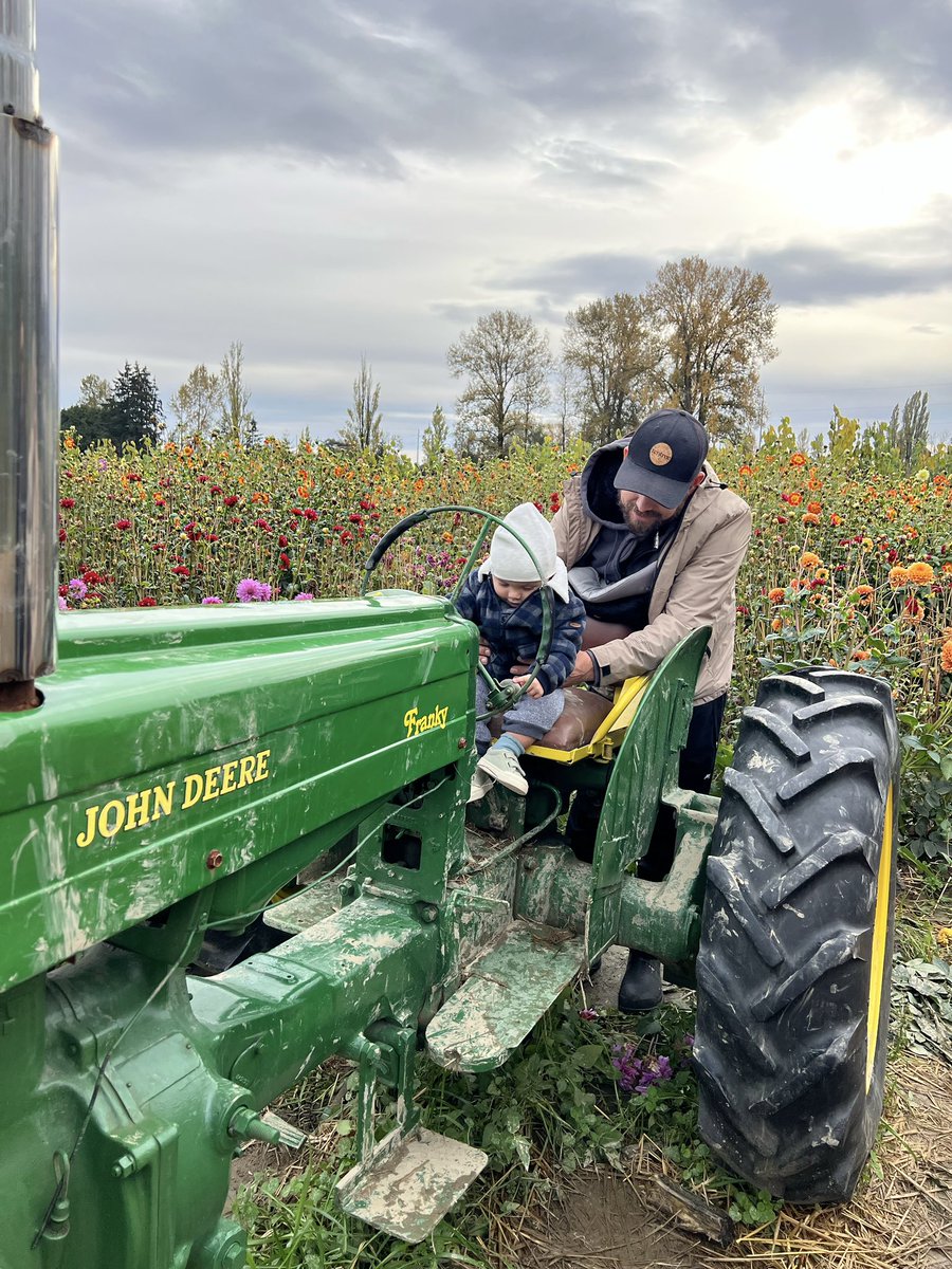 AmandaJackaman's tweet photo. Hey, pumpkin! 🎃 

I’ve been going to @richcountryfarm’s since I was a kid and it felt so specially to take this little guy here for the first time. @Richmond_BC @EatDrinkBuyBC 

#PumpkinPatch #FallVibes https://t.co/AjpiATgTrL