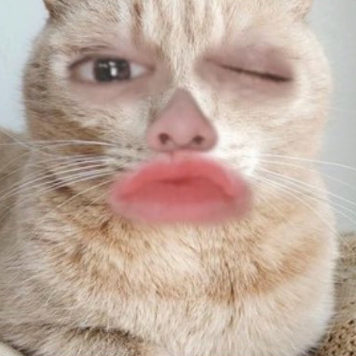 하씨 ㅠㅠㅠㅠㅠㅠㅠㅠㅠㅠㅠ
원본갖고싶음 하 ㅠ