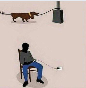 litwin_sonia's tweet photo. 14 Painful Images That Will Make You Think:

1. https://t.co/clplIGi2pu