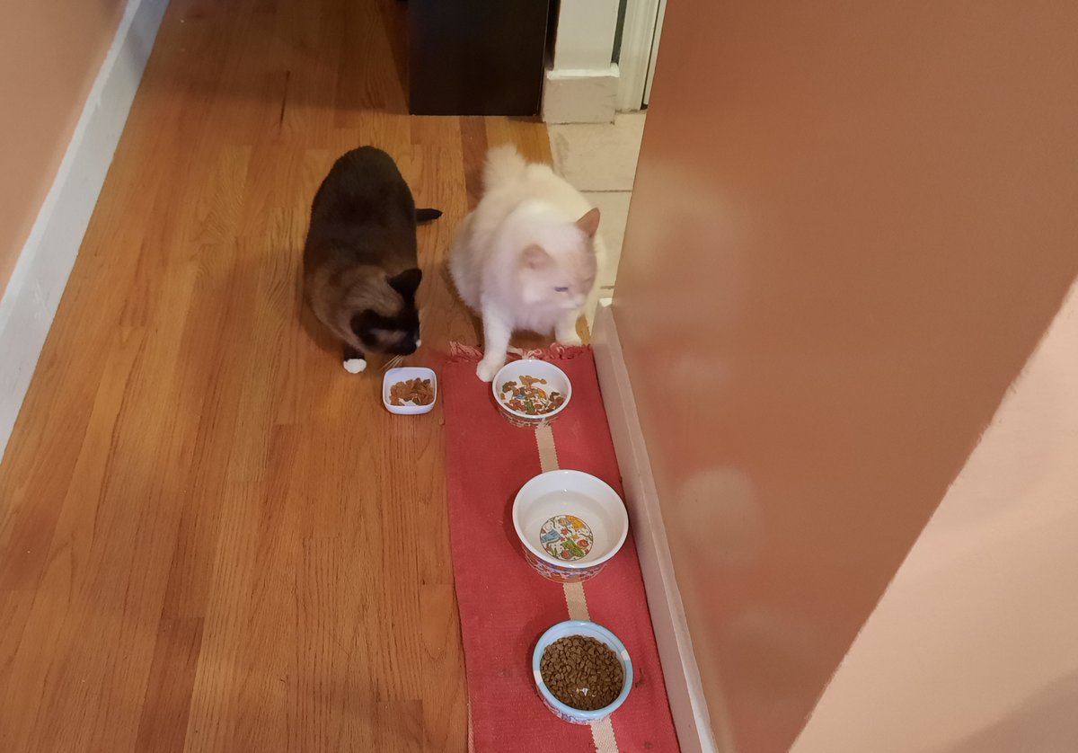 Fuzzicle's tweet image. Tuesday morning munchies