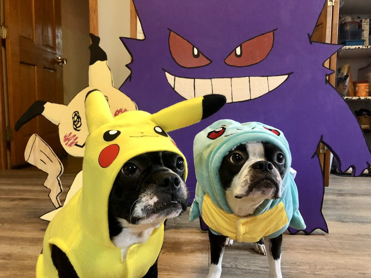 SWagchi's tweet photo. @Pokemon Pikachu, Squirtle, Mimikyu, Gengar, Eevee, and Ash had a spooky Halloween 🎃 #pokemon #Halloween https://t.co/cd0OzvI6nb