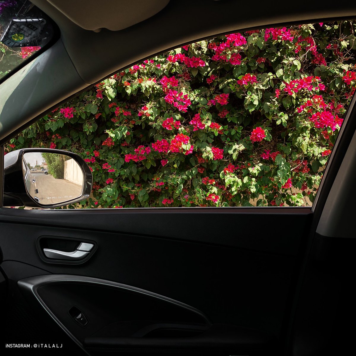 طلال ☕️ tweet media