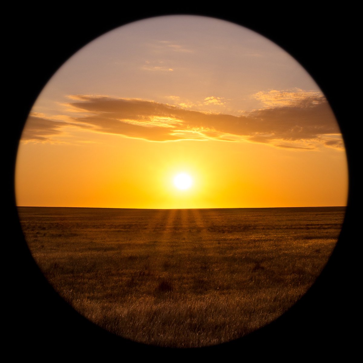 Wir freuen uns auf die #DeutscheErstaufführung von Julian Andersons «The Stations of the Sun» am kommenden Sonntag im <a href="/_burghof/">Burghof Lörrach</a>. @baldurbronniman