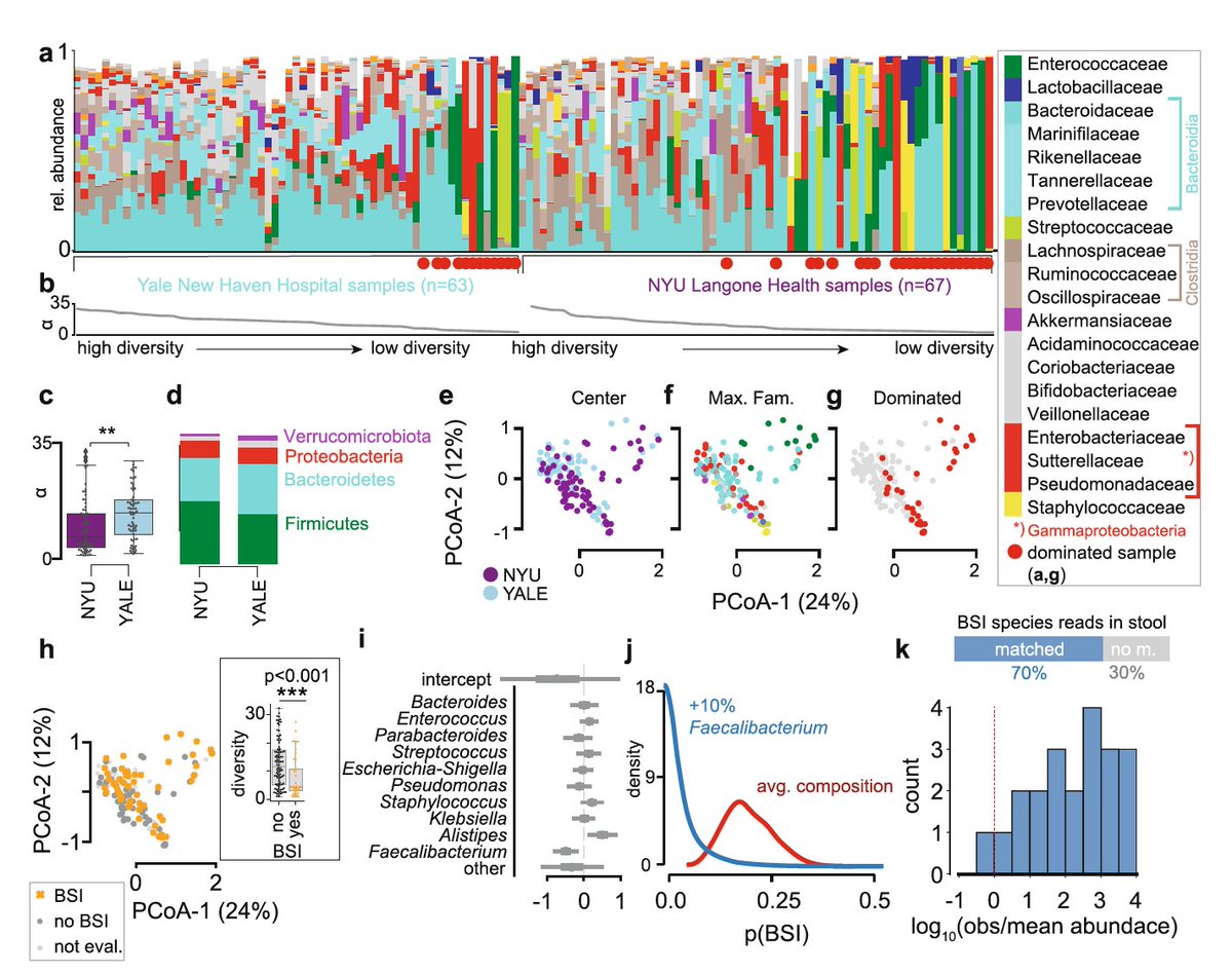 Covid infections disrupt the gut microbiome and increase vulnerability to secondary bloodstream infections
nature.com/articles/s4146…
<a href="/NatureComms/">Nature Communications</a> <a href="/Lucie_Bernard_R/">Lucie Bernard Raichon</a> <a href="/CadwellLab/">Cadwell Lab</a> <a href="/YaleIBIO/">Yale Department of Immunobiology</a> <a href="/VirusesImmunity/">Prof. Akiko Iwasaki</a>