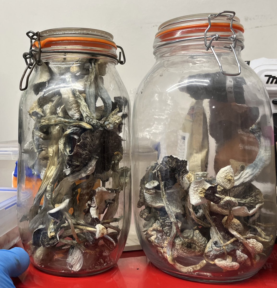 Officers from St Mary’s and Laycock wards have worked together with <a href="/MPSCanonbury/">Canonbury Police</a> <a href="/MPSStPetersNI/">St Peter's and Canalside Police</a> <a href="/MPSBunhill/">Bunhill SNT</a> for a warrant where a male was arrest for purchasing mercury, and production of Class A and Class B 👮‍♀️👮‍♂️ #YourSNT <a href="/MPSIslington/">Islington Police</a> <a href="/metpoliceuk/">Metropolitan Police</a>