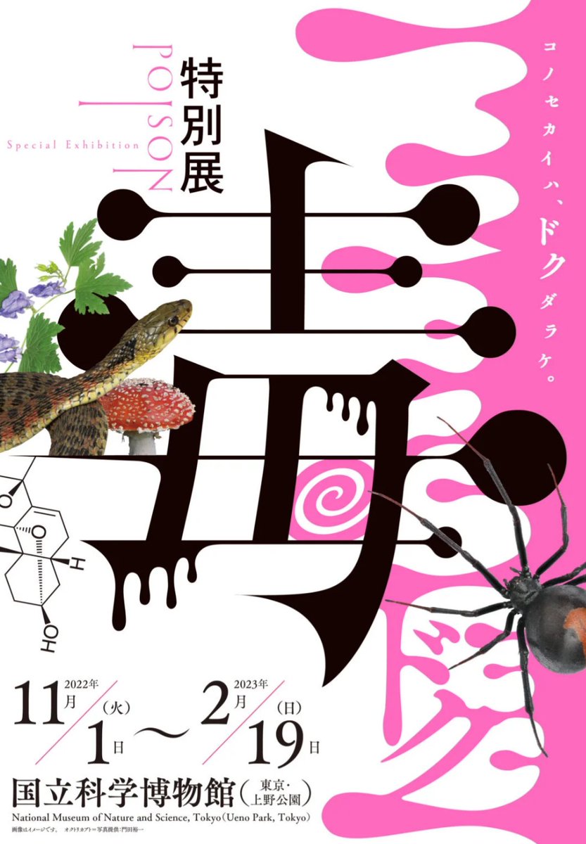 帰宅してました!
久しぶりのトーハクでウロウロ徘徊、上野アトレで迷子、丸井でロフトに入り浸り……
沢山歩きました!!足腰が痛い★😥
しかし次回は動物園も、科博での「毒」展も行きたいな〜♥なんて思ってみたりw😅
ちゃんと計画立てて行かねば……と!!! 