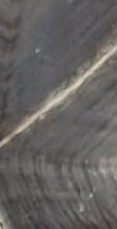 LSKlearning's tweet photo. Here we go for another round of #EducatorExplorer Curiosity Game🇲🇺! #PatternInNature - 2 in a row😍
Spark your #curiosity and sharpen your #ExplorerMindset🤩💛#TeacherStrong https://t.co/kXcSOXSbRU